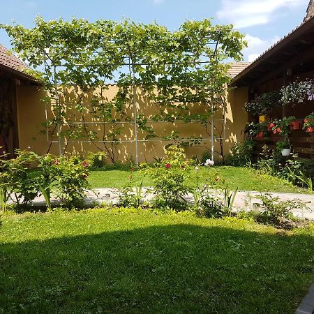 Casa Ovesia Villa Săcele Екстериор снимка