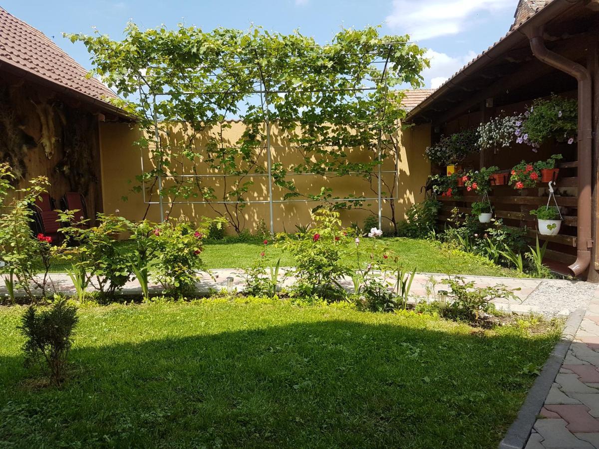 Casa Ovesia Villa Săcele Екстериор снимка