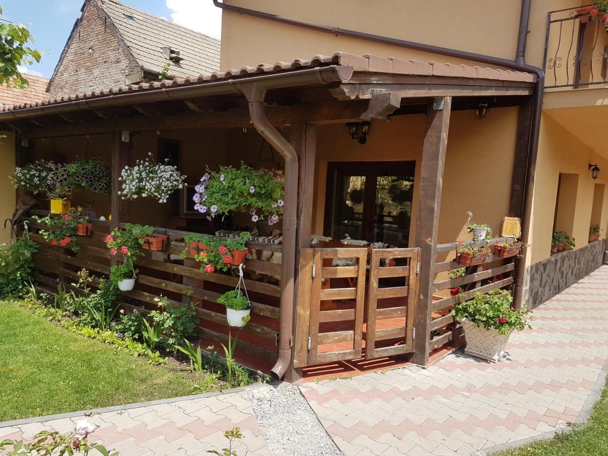 Casa Ovesia Villa Săcele Екстериор снимка